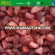 Hot sale IQF frozen strawberry high quality cheap