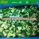 Wholesale Bulk Frozen Broccoli IQF Broccoli cut cauliflower vegetables 2017 crop