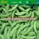 hot selling Organic IQF frozen sugar snap pea