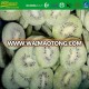 new crop frozen fresh sliced kiwi fruit for sale