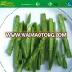 High Quality IQF price of green bean sliced