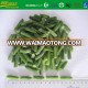 High Quality IQF price of green bean cut