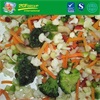 IQF vegetable blend