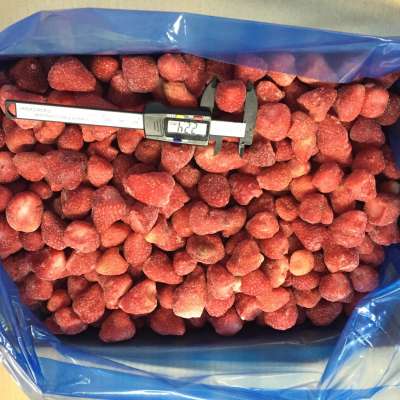 China r frozen iqf strawberry whole AM 13  15-25mm  grade A