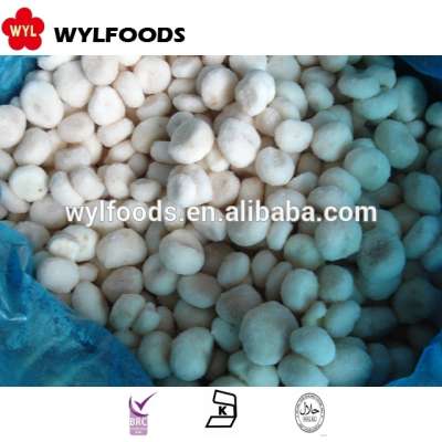 Best sale factory price frozen water chestnuts with high quality