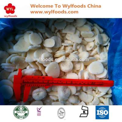 high quality wholesale iqf frozen water chestnuts slices