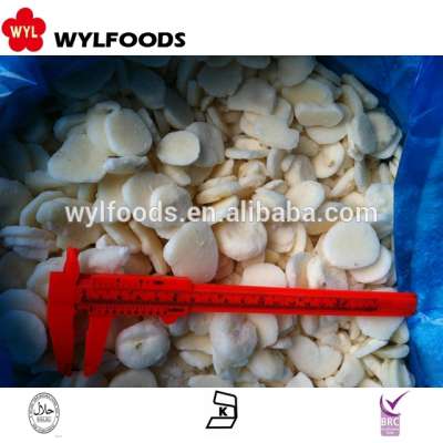 Best sale factory price frozen water chestnuts with high quality