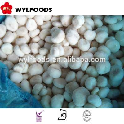 high quality wholesale iqf frozen water chestnuts slices