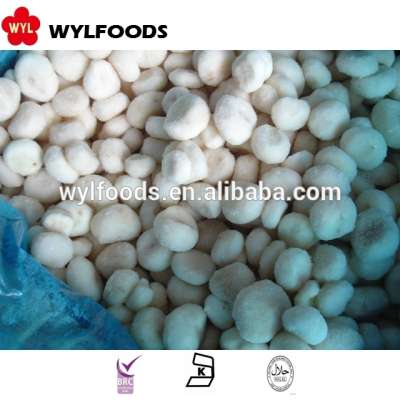 Best sale factory price frozen water chestnuts with high quality