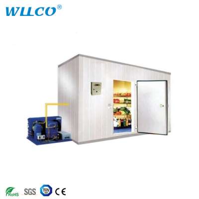 Cold Room For Frozen Ice Meat Ice Cream Fruit And Vegetable