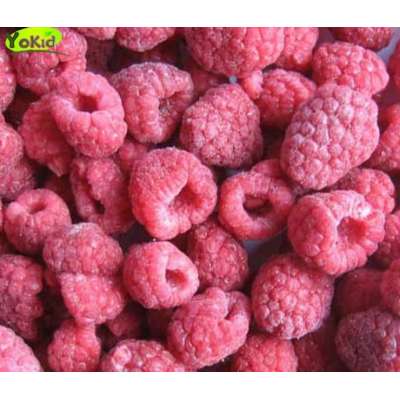 Broken Crumble Frozen Fruit IQF Raspberry